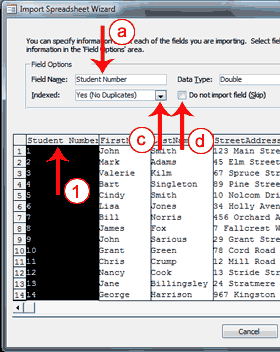 Excel Wizard Step 4