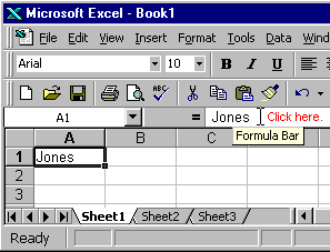 Editing Using the Formula Bar