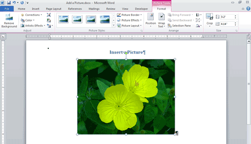 Picture in document with the Picture tools available