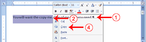 Copy with a Context Menu